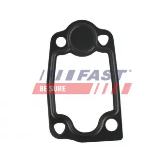 Joint d'étanchéité, thermostat FAST FT49903