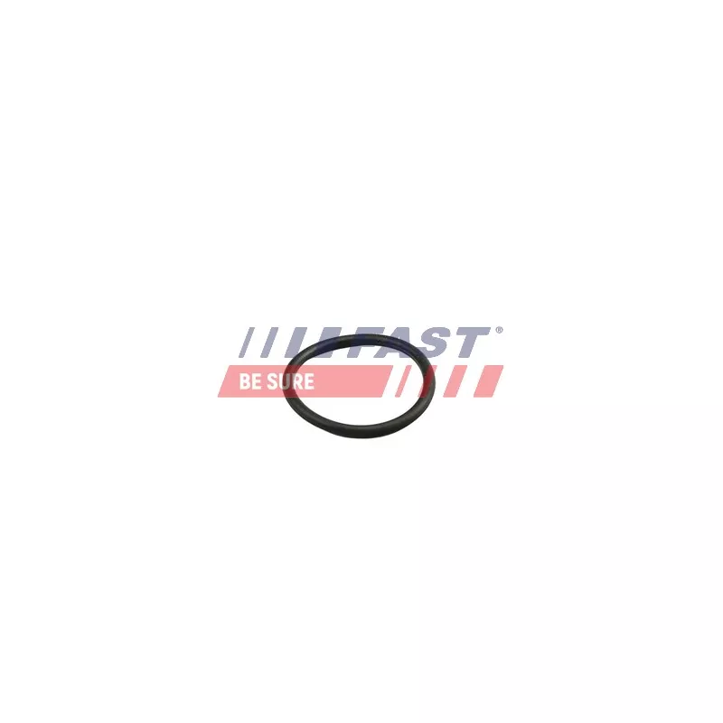 Bague d'étanchéité FAST FT49919