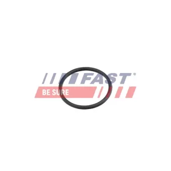 Joint d'étanchéification, conduite de réfrigérant FAST FT49920