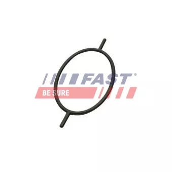 Joint, pompe à vide FAST FT49923