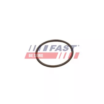 Bague d'étanchéité, gaine de suralimentation FAST FT49933