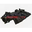 Module de tube d'admission FAST FT50403 - Visuel 2