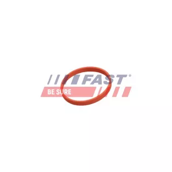 Joint, vanne EGR FAST FT50628
