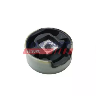 Support moteur FAST FT52046