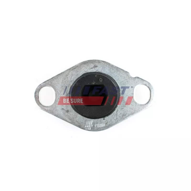 Suspension, boîte de vitesse manuelle FAST FT52594