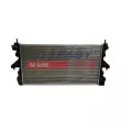 Radiateur, refroidissement du moteur FAST FT55080 - Visuel 1