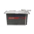 Radiateur d'huile FAST FT55428 - Visuel 1