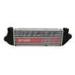 Intercooler, échangeur FAST FT55590 - Visuel 1