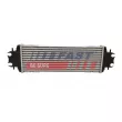 Intercooler, échangeur FAST FT55592 - Visuel 1