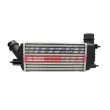 Intercooler, échangeur FAST FT55594 - Visuel 1