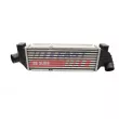 Intercooler, échangeur FAST FT55596 - Visuel 2
