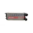Intercooler, échangeur FAST FT55597 - Visuel 2