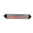 Intercooler, échangeur FAST FT55598 - Visuel 1