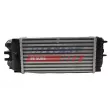 Intercooler, échangeur FAST FT55600 - Visuel 1