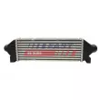 Intercooler, échangeur FAST FT55601 - Visuel 1