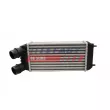 Intercooler, échangeur FAST FT55602 - Visuel 2