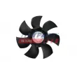 Roue du souffleur, refroidissementdu moteur FAST FT56250 - Visuel 1