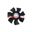 Roue du souffleur, refroidissementdu moteur FAST FT56250 - Visuel 2