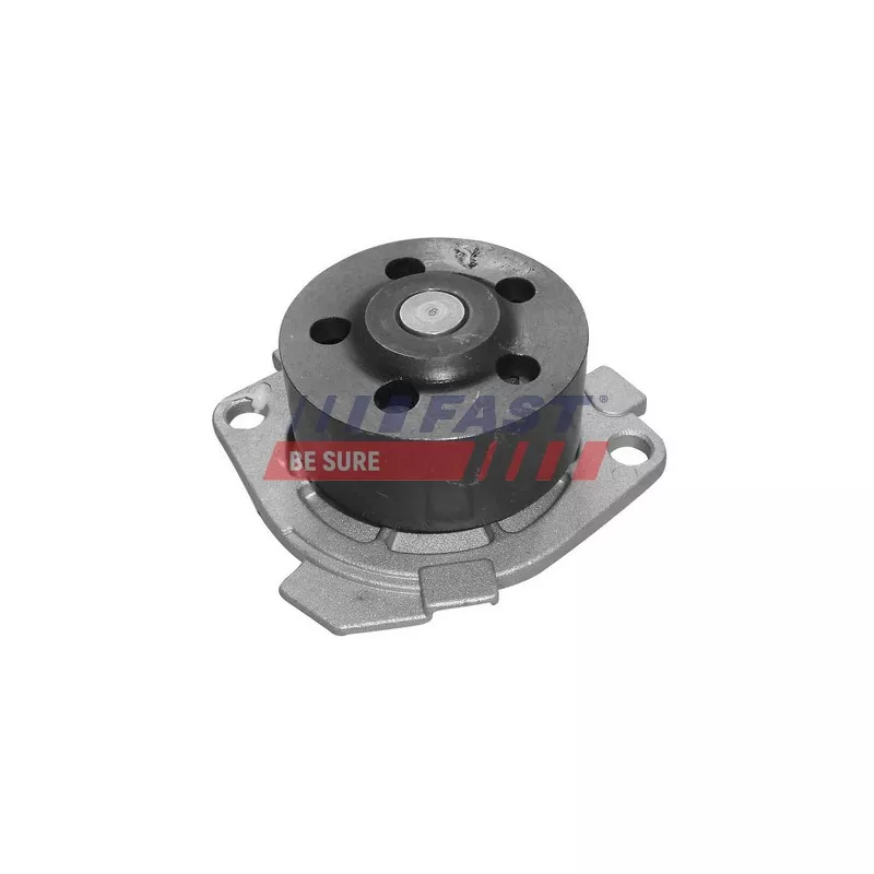 Pompe à eau FAST FT57029