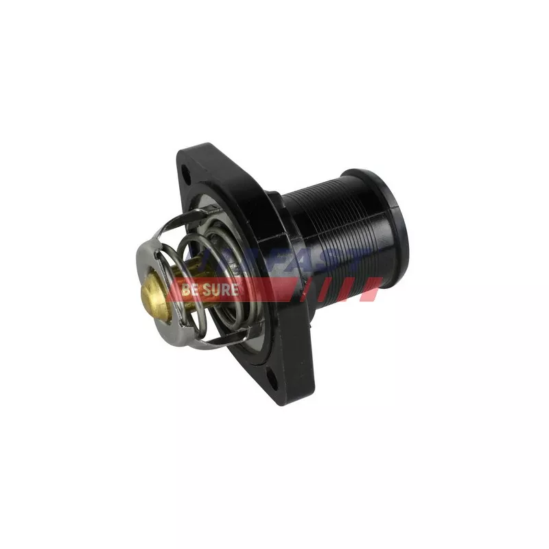 Thermostat d'eau FAST FT58007