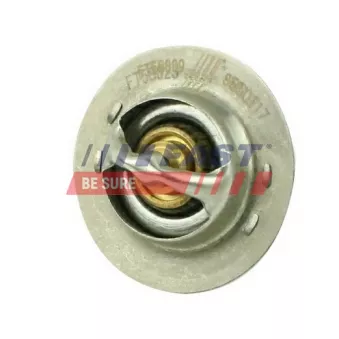 Thermostat d'eau FAST FT58009