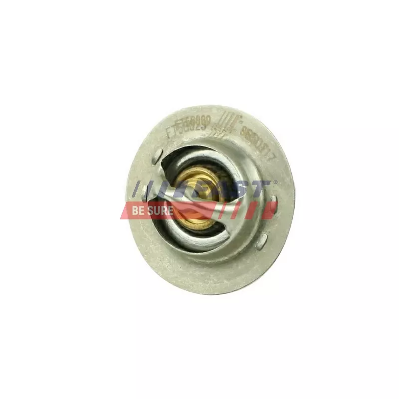 Thermostat d'eau FAST FT58009