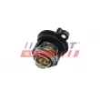Thermostat, liqiuide de refroidissement FAST FT58030 - Visuel 1