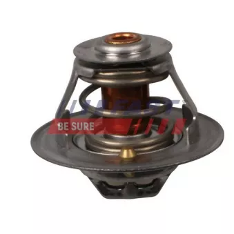 Thermostat d'eau FAST