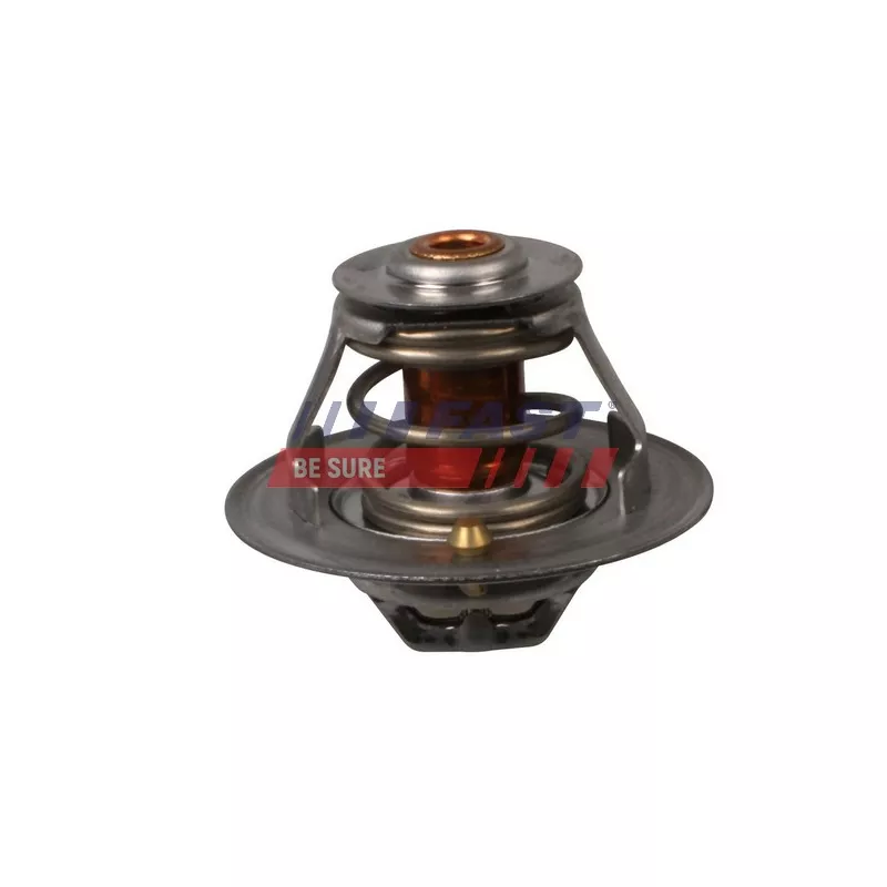 Thermostat d'eau FAST FT58032
