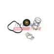 Thermostat d'eau FAST FT58042 - Visuel 1