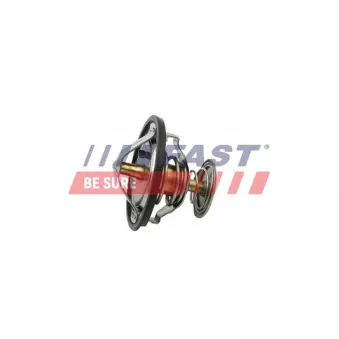 Thermostat d'eau FAST FT58083