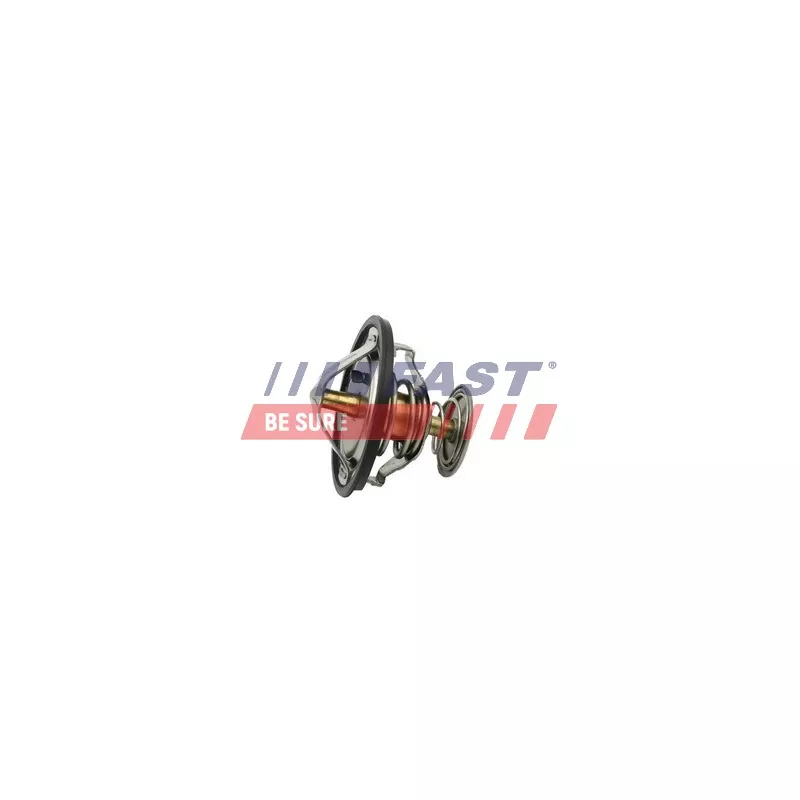 Thermostat d'eau FAST FT58083