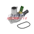 Thermostat d'eau FAST FT58170 - Visuel 2