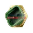 Thermostat d'eau FAST FT58170 - Visuel 3