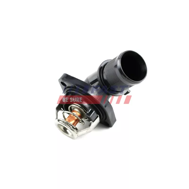 Thermostat d'eau FAST FT58181