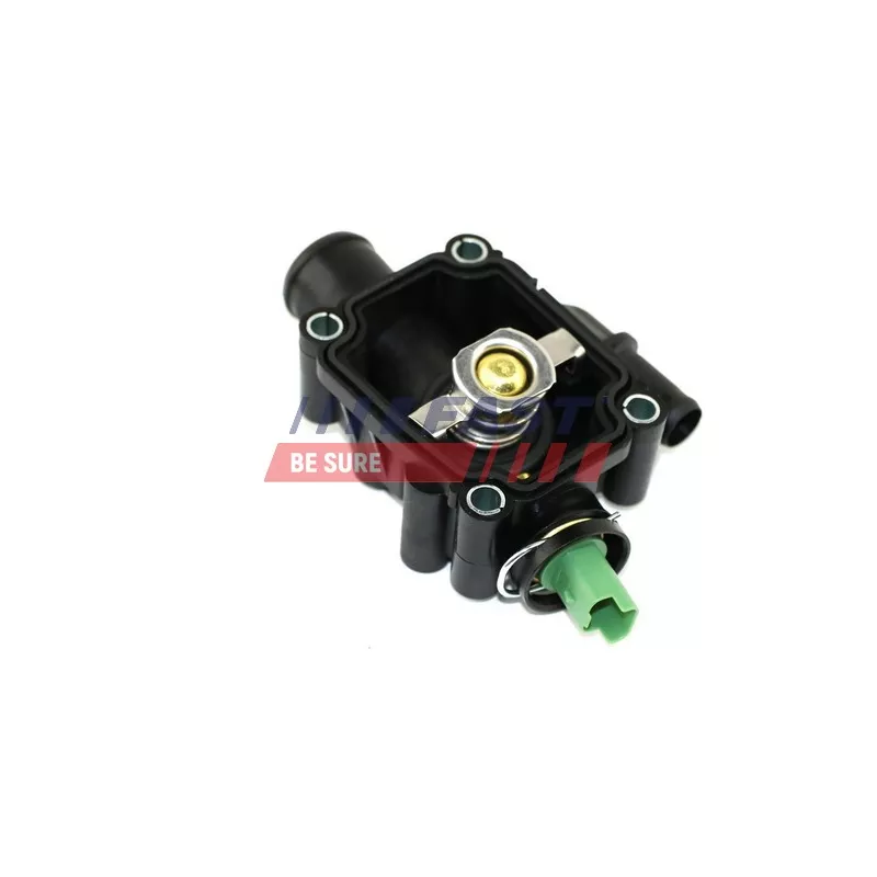 Thermostat d'eau FAST FT58182