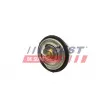 Thermostat, liqiuide de refroidissement FAST FT58200 - Visuel 1