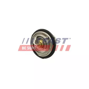 Thermostat, liqiuide de refroidissement FAST FT58200