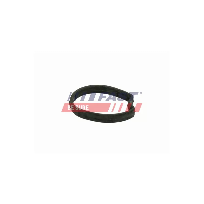Joint d'étanchéité, boîtier du thermostat FAST FT58301