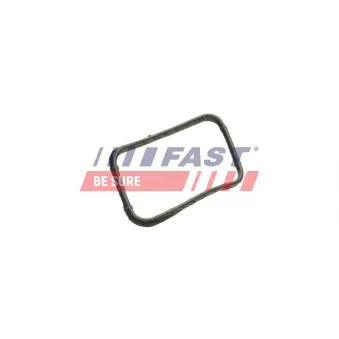 Joint d'étanchéité, thermostat FAST FT58302