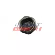 Pressostat, climatisation FAST FT59304 - Visuel 3