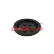 Diaphragme, ventilation du carter-moteur FAST FT60101 - Visuel 1