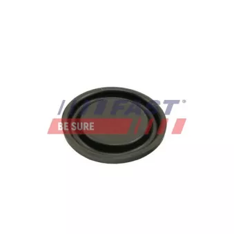 Diaphragme, ventilation du carter-moteur FAST FT60102