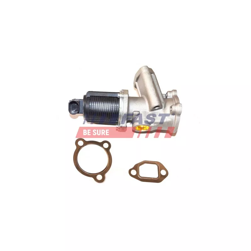 Vanne EGR FAST FT60204