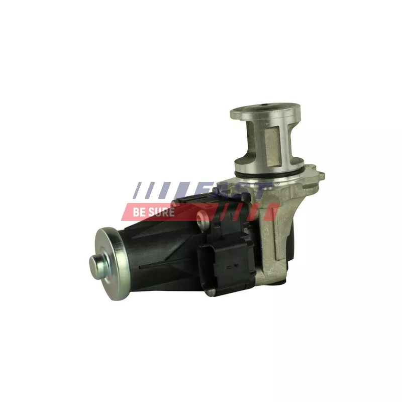 Vanne EGR FAST FT60205