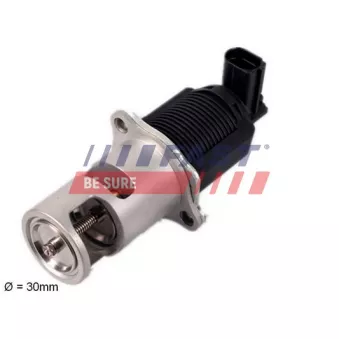 Vanne EGR FAST FT60207