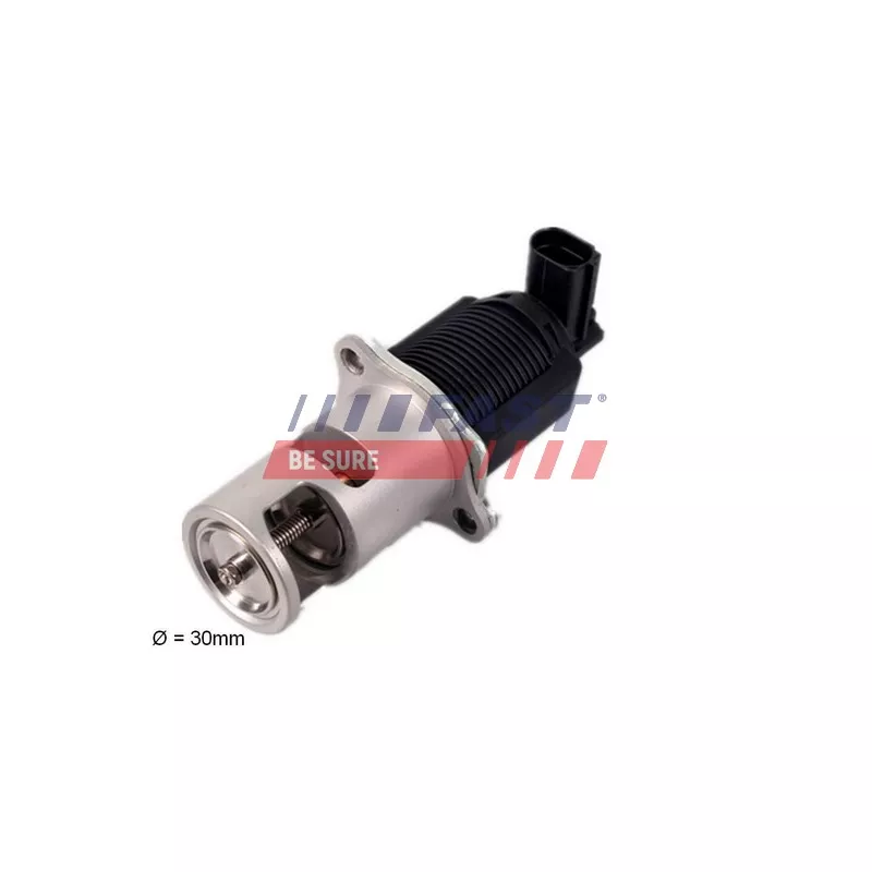 Vanne EGR FAST FT60207