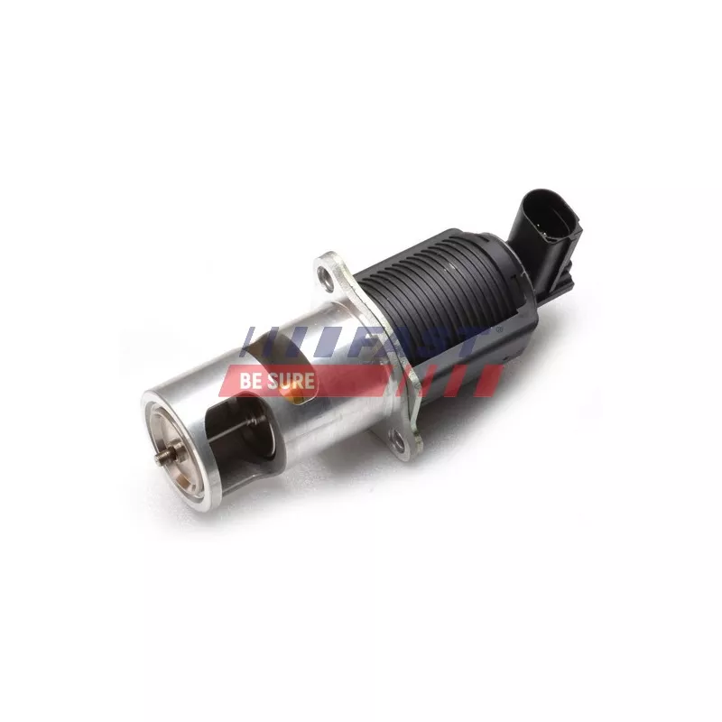 Vanne EGR FAST FT60213