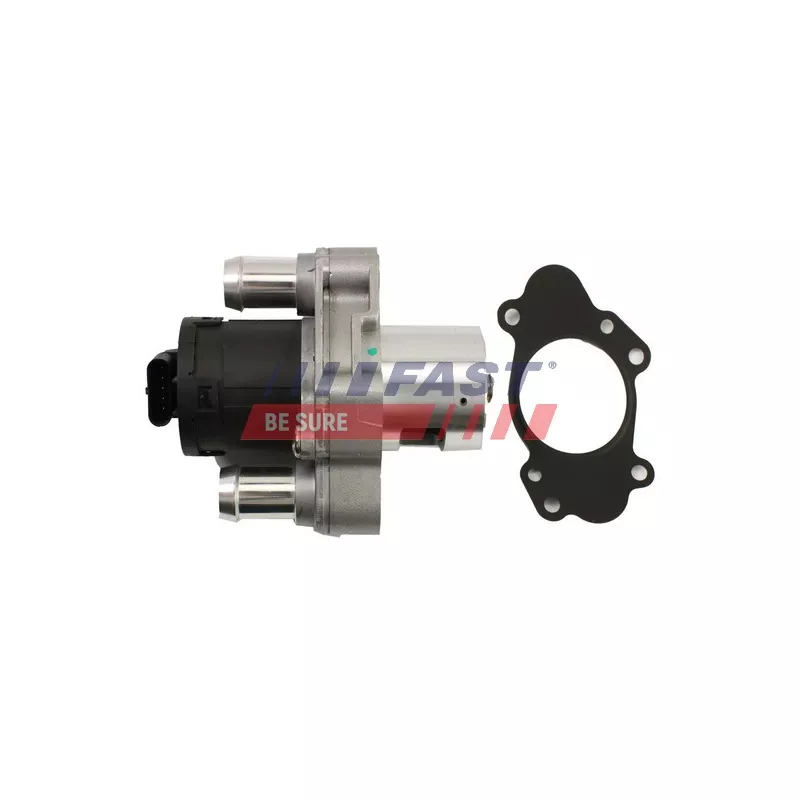 Vanne EGR FAST FT60220
