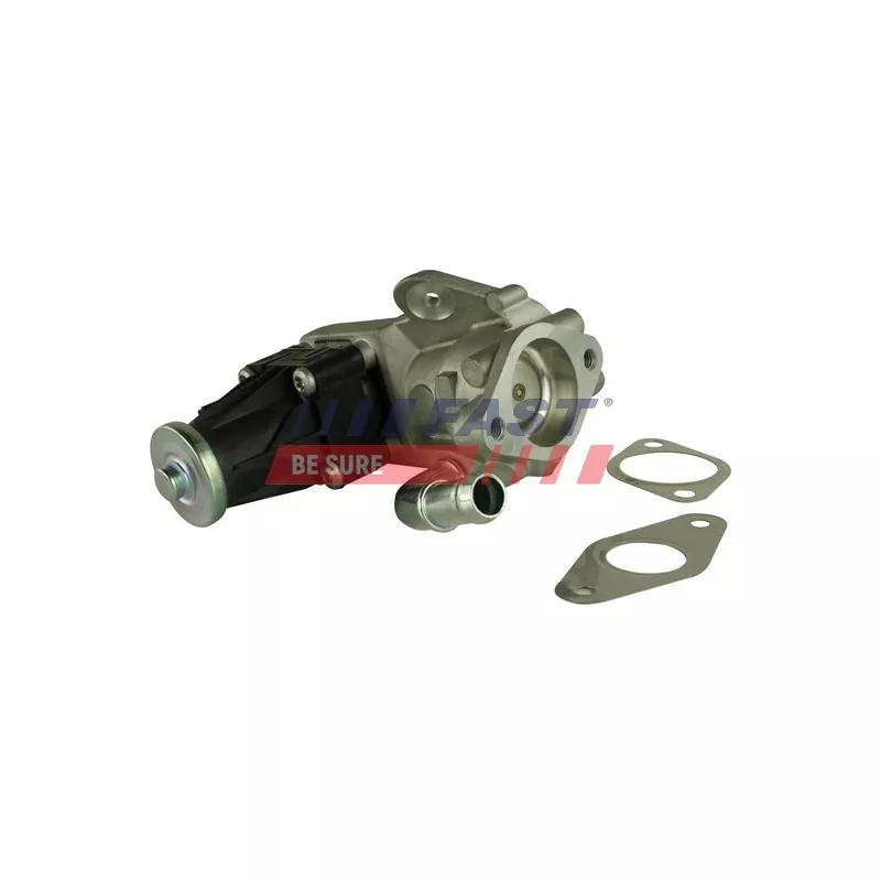 Vanne EGR FAST FT60223
